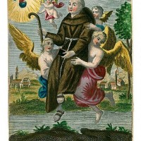PETRUS Regalado. Bild 1