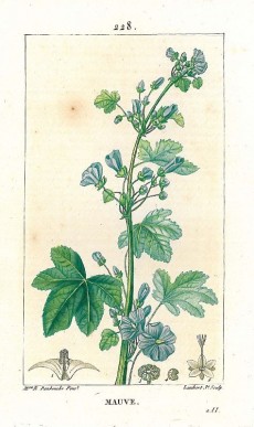 Picture 1