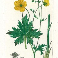Picture 1
