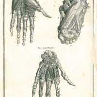 Picture 1
