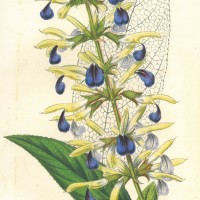 Picture 1