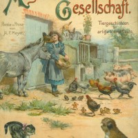 Meyer, August Ferdinand. Picture 1