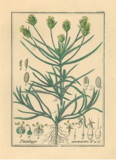 Picture 1