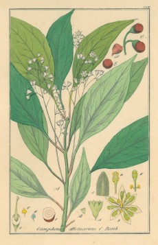 Picture 1