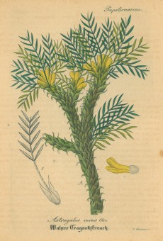 Picture 1