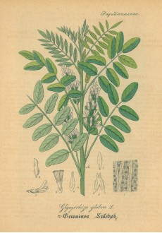 Picture 1