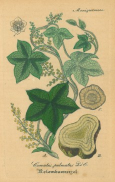 Picture 1