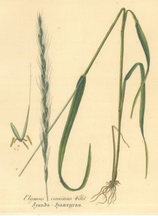 Picture 1