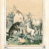 Hille, J(ohann). Bild 1