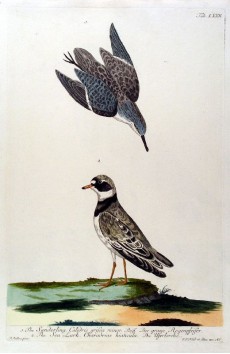 Picture 1