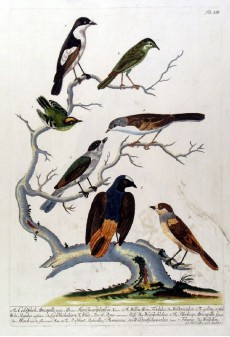 Picture 1