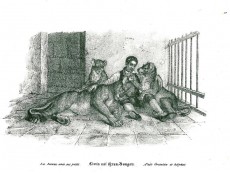 Picture 1
