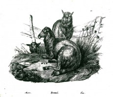 Picture 1