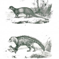 Picture 1