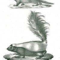 Picture 1