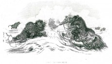 Picture 1