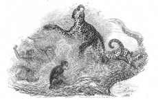 Picture 1
