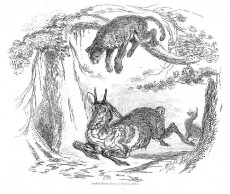 Picture 1