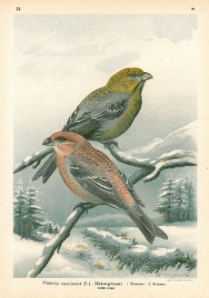 Picture 1