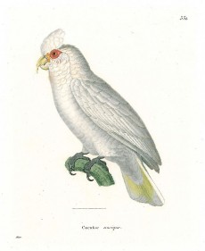 Picture 1