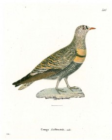 Picture 1