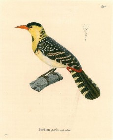 Picture 1