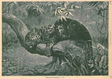 Picture 1