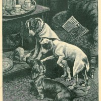 Picture 1