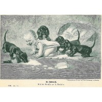 Picture 1