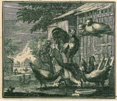 Picture 1