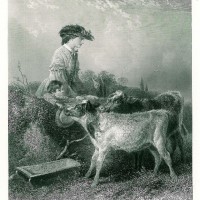 Picture 1