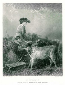 Picture 1