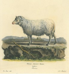 Picture 1