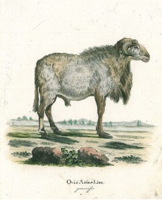 Picture 1