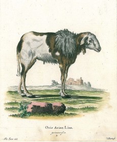 Picture 1