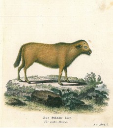 Picture 1