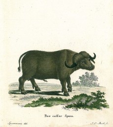 Picture 1