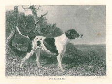 Picture 1