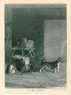 Picture 1