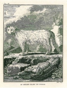 Picture 1