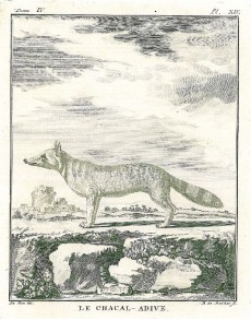Picture 1