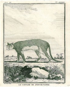 Picture 1