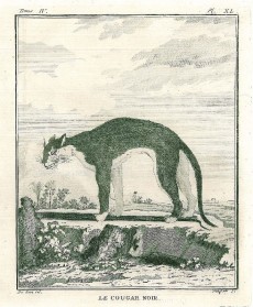 Picture 1