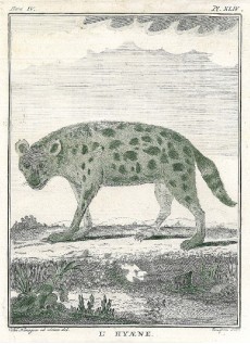 Picture 1