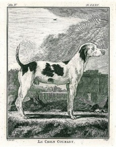 Picture 1