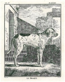 Picture 1