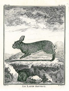 Picture 1