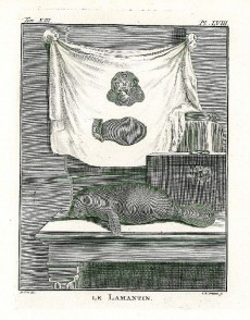 Picture 1