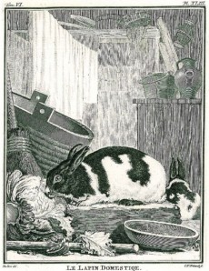 Picture 1