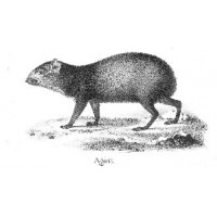 Picture 1